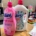 Asevi hypoallergenic bundle